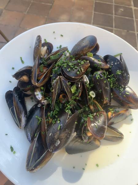Moules crème marinières